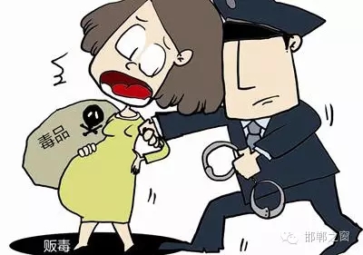 2016年初，涉縣警方查獲一起涉毒案件，鑒于該案涉案人員多、毒品交易量大，涉縣警方立即將案情上報，被公安部確立為“目標-2016-314”號毒品案件。涉縣警方成立專案組，經(jīng)過多方追查，先后抓獲團伙人員13名，繳獲毒品5349克，并查明上線“濮姐”的真實身份為陳某。